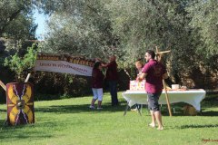 Tourelles_2017 (10)