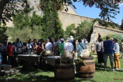 Tourelles_2017 (12)
