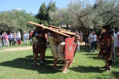 Tourelles_2017 (3)