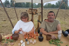 Village_gaulois (22)