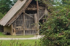 Village_gaulois (24)